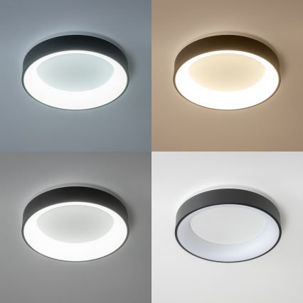 Brilagi - Plafonieră LED dimabilă FALCON, 80W, 230V, 3000–6500K, Ø 60 cm, neagră, cu telecomandă