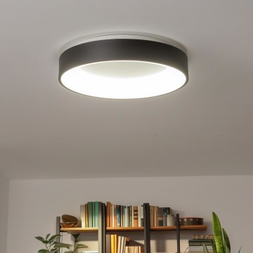 Brilagi - Plafonieră LED dimabilă FALCON, 80W, 230V, 3000–6500K, Ø 60 cm, neagră, cu telecomandă