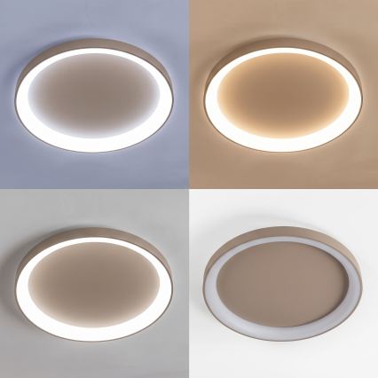 BRILAGI - Plafonieră LED reglabilă FALCON II LED/108W/230V 3000-6500K Ø 80 cm bej + telecomandă