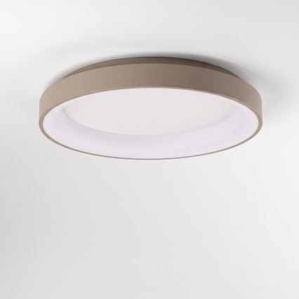 BRILAGI - Plafonieră LED dimabilă FALCON II LED/99W/230V 3000-6500K Ø 60 cm alb/bej + telecomandă inclusă