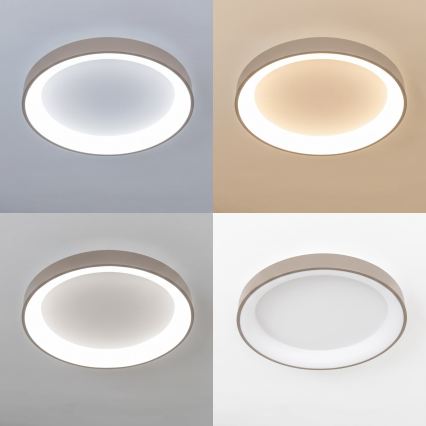 BRILAGI - Plafonieră LED dimabilă FALCON II LED/99W/230V 3000-6500K Ø 60 cm alb/bej + telecomandă inclusă