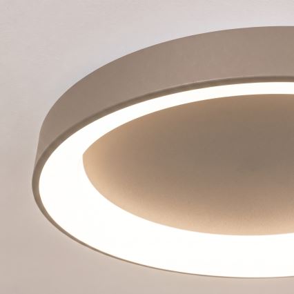 BRILAGI - LED plafonieră dimmabilă FALCON II LED/99W/230V 3000-6500K Ø 60 cm bej + telecomandă