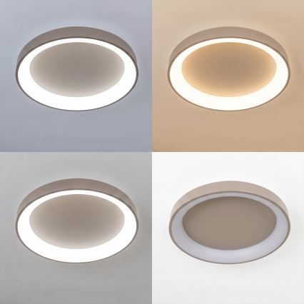 BRILAGI - LED plafonieră dimmabilă FALCON II LED/99W/230V 3000-6500K Ø 60 cm bej + telecomandă