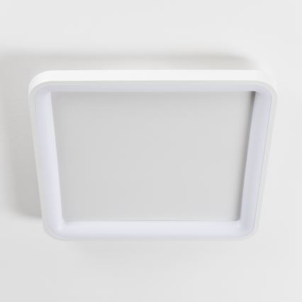 Brilagi - Plafonieră LED dimabilă FALCON SLIM LED/50W/230V 3000-6500K 50x50 cm albă + telecomandă