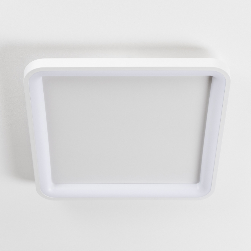 Brilagi - Plafonieră LED dimabilă FALCON SLIM LED/50W/230V 3000-6500K 50x50 cm albă + telecomandă