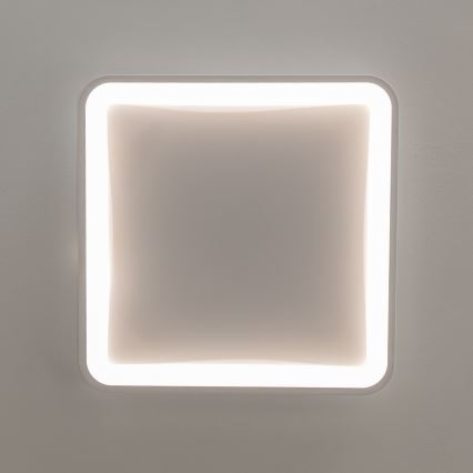 Brilagi - Plafonieră LED dimabilă FALCON SLIM LED/50W/230V 3000-6500K 50x50 cm albă + telecomandă