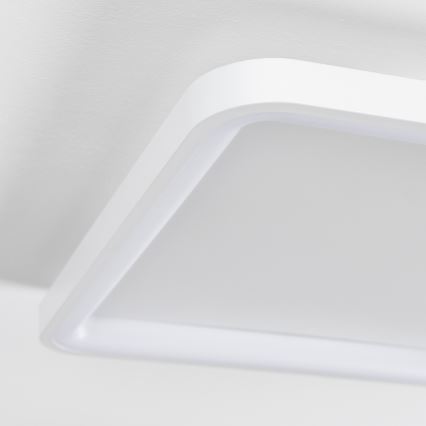 Brilagi - Plafonieră LED dimabilă FALCON SLIM LED/50W/230V 3000-6500K 50x50 cm albă + telecomandă