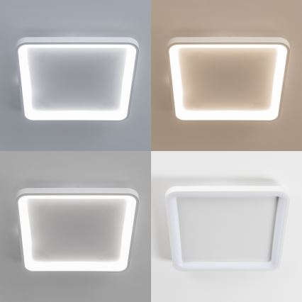 Brilagi - Plafonieră LED dimabilă FALCON SLIM LED/50W/230V 3000-6500K 50x50 cm albă + telecomandă