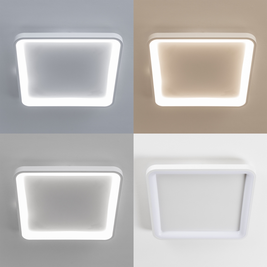 Brilagi - Plafonieră LED dimabilă FALCON SLIM LED/50W/230V 3000-6500K 50x50 cm albă + telecomandă