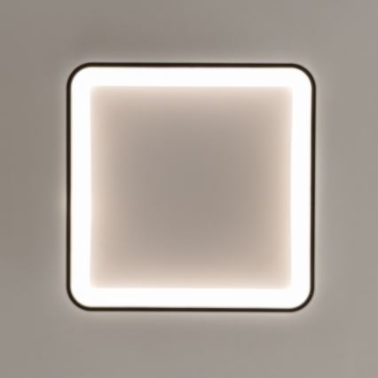 Brilagi - Plafonieră LED dimabilă FALCON SLIM LED/50W/230V 3000-6500K 50x50 cm neagră + telecomandă
