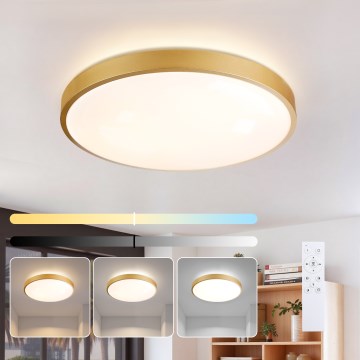 Brilagi - Plafonieră LED dimabilă GLASS POOL DOUBLE, 60W, 230V, 3000-6000K, 50 cm, auriu + telecomandă