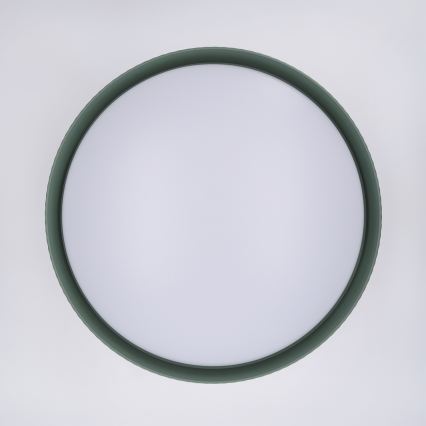 Brilagi - Lampă de tavan LED dimabilă LUCIA LED/60W/230V 3000-6500K Ø 59 cm verde + telecomandă