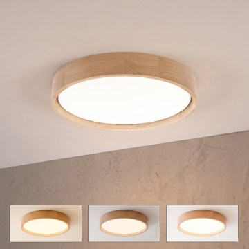 Brilagi - Plafonieră LED dimabilă MANAROLA REMOTE LED/24W/230V 3000-6500K Ø 41 cm stejar + telecomandă