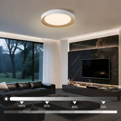 Brilagi - Plafonieră LED reglabilă NEXO 48W/230V 3000–6000K albă, diam. 43 cm + telecomandă