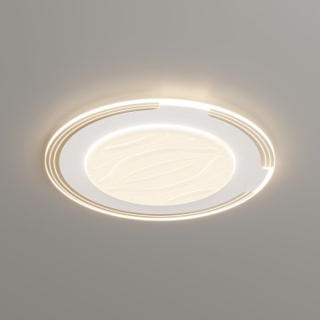 Brilagi - Plafonieră LED dimabilă ORELIS LED/80W/230V 3000-6000K Ø50 cm + telecomandă