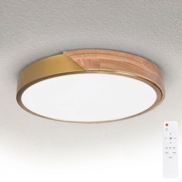 BRILAGI - Plafonieră LED dimabilă PILANA LED/48W/230V 3000-6500K stejar/auriu Ø 40 cm + cu telecomandă