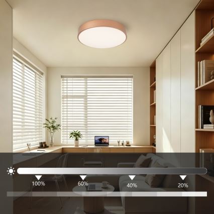 BRILAGI - plafonieră LED dimabilă POOL LED/48W/230V 3000-6000K Ø 40 cm cupru + telecomandă