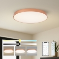 BRILAGI - plafonieră LED dimabilă POOL SMART LED/100W/230V 3000-6000K pr. 80 cm Wi-Fi Tuya cu finisaj cupru + telecomandă
