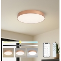 BRILAGI - Plafonieră LED dimabilă POOL SMART LED/60W/230V 3000-6000K Ø 50 cm Wi-Fi Tuya cu finisaj cupru + telecomandă