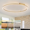 Brilagi - Plafonieră LED dimabilă PORTOFINO LED/85W/230V 3000-6000K Ø 120 cm auriu + telecomandă
