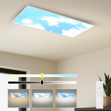 Brilagi - Plafonieră LED dimabilă SLIMFRAME SKY LED/80W/230V 120x60 cm 3000-6000K argintiu/albastru + telecomandă
