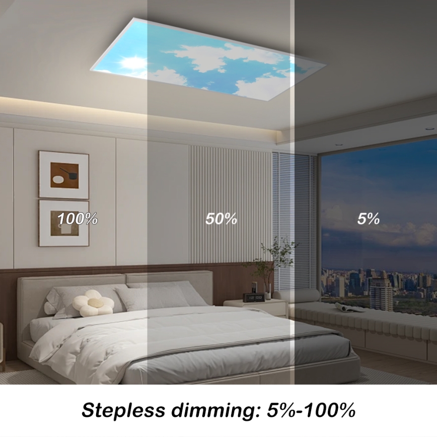 Brilagi - plafonieră LED dimabilă SLIMFRAME SKY LED/80W/230V 120x60 cm 3000-6000K argintiu/albastru + telecomandă