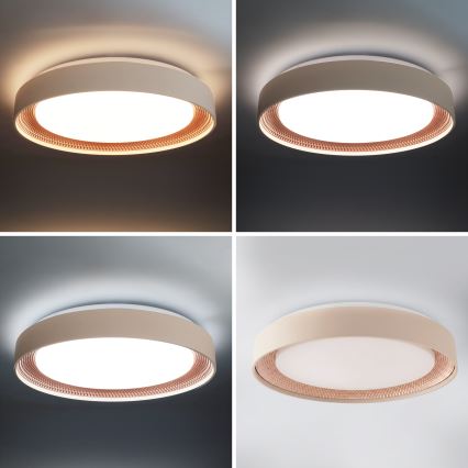 Brilagi - Plafonieră LED WALDO reglabilă, 48 W, 230 V, 3000–6500 K, Ø 40 cm, bej/auriu + telecomandă