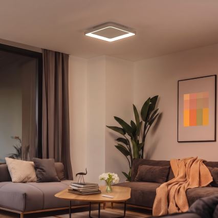 BRILAGI - Plafonieră LED dimabilă FALCON SLIM LED/50W/230V 3000-6500K 50x50 cm bej + telecomandă