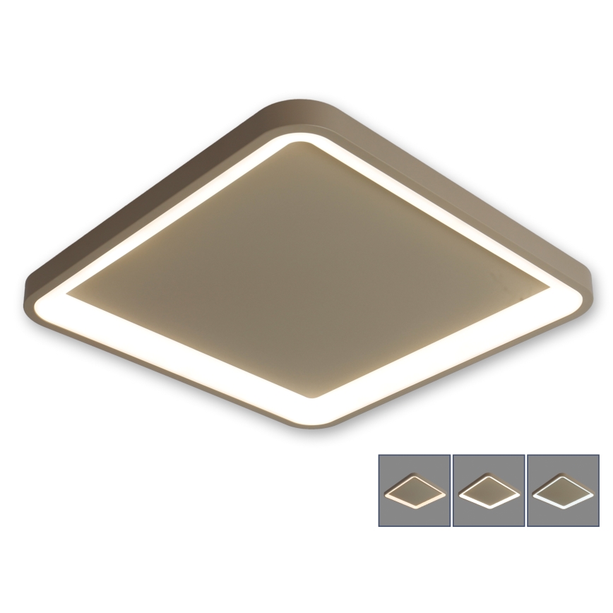 BRILAGI - Plafonieră LED dimabilă FALCON SLIM LED/50W/230V 3000-6500K 50x50 cm bej + telecomandă