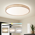 BRILAGI - Plafonieră LED dimmabilă MOLINA LED/100W/230V 3000-6000K stejar Ø 80 cm + telecomandă