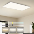 Brilagi - Plafonieră LED dimmabilă SLIMFRAME LED/80W/230V 120x60 cm 3000-6000K albă + telecomandă