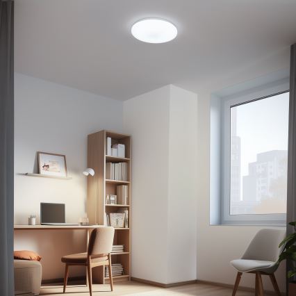 Brilagi - Plafonieră LED MILKY WAY, 24 W, 230 V, 3000/4000/6500 K, Ø 38 cm