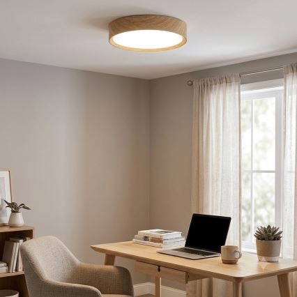 Brilagi - Plafonieră LED NATURA LED/20W/230V 3000K Ø 33,7 cm