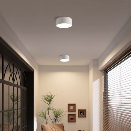 Brilagi - Plafonieră LED pentru baie FORIS, 14 W, 230 V, Ø 12 cm, albă, IP44