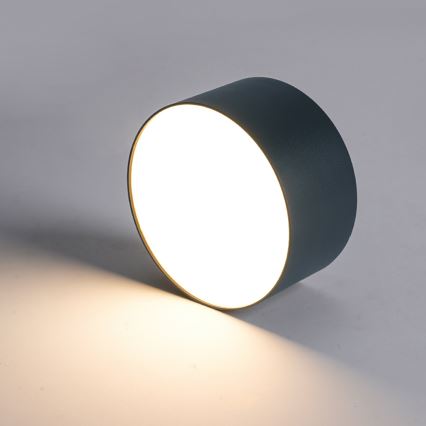 Brilagi - Plafonieră LED pentru baie FORIS LED/20W/230V Ø 15 cm antracit IP44