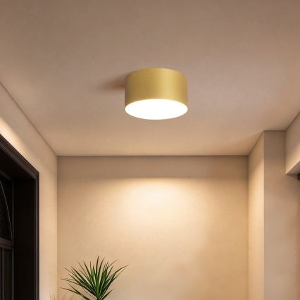 BRILAGI - Plafonieră LED pentru baie FORIS LED/14W/230V Ø 12 cm auriu IP44