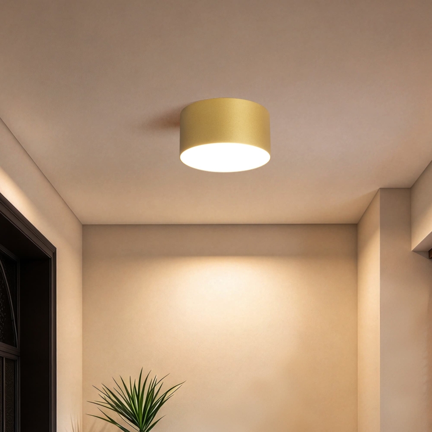 BRILAGI - Plafonieră LED pentru baie FORIS LED/14W/230V Ø 12 cm auriu IP44