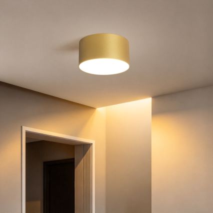 BRILAGI - Plafonieră LED pentru baie FORIS LED/14W/230V Ø 12 cm auriu IP44