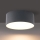 Brilagi - Plafonieră LED pentru baie FORIS LED/20W/230V Ø 15 cm antracit IP44