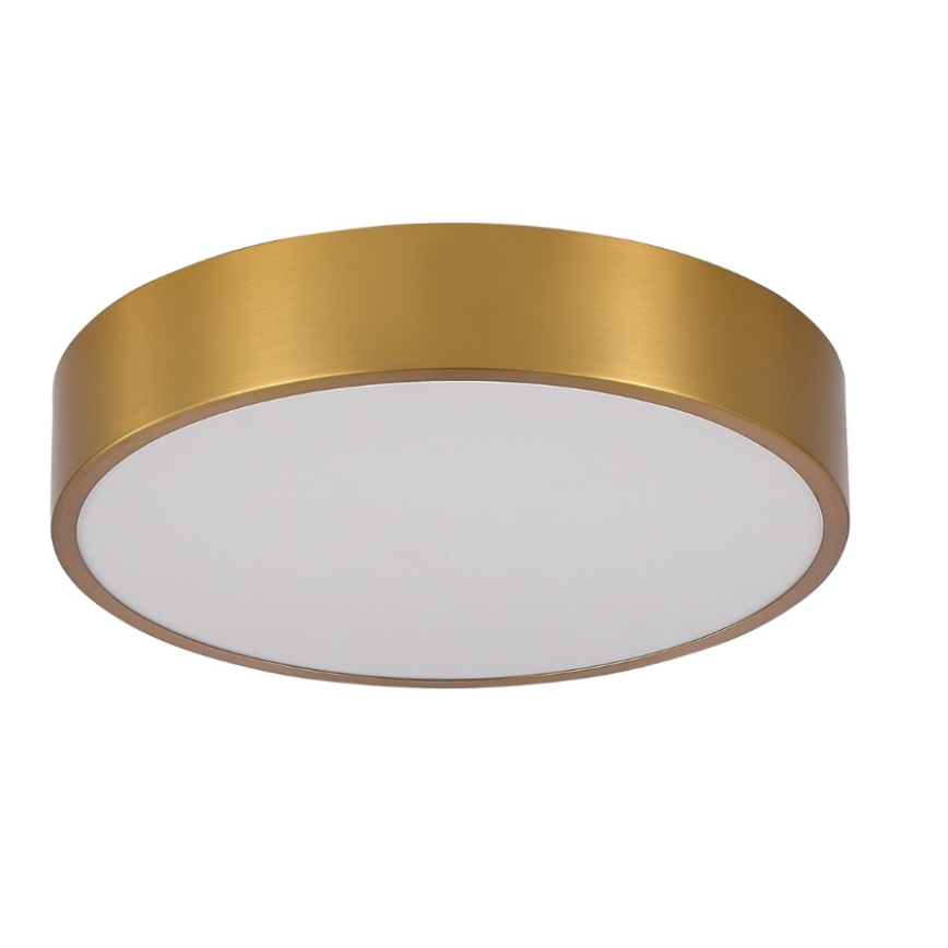 Brilagi - Plafonieră LED pentru baie POOL, 24W, 230V, 3000/4000/5500 K, Ø 30 cm, IP54, bronz