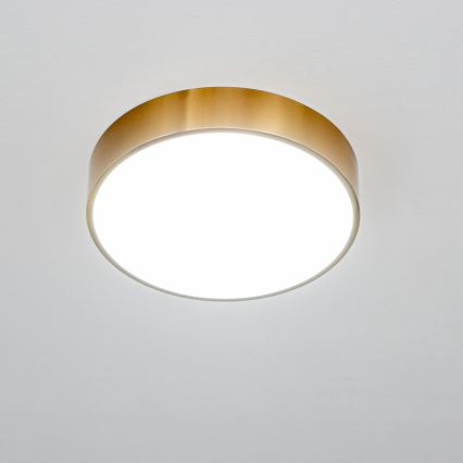 Brilagi - Plafonieră LED pentru baie POOL, 24W, 230V, 3000/4000/5500 K, Ø 30 cm, IP54, bronz