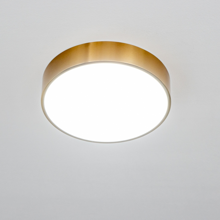 Brilagi - Plafonieră LED pentru baie POOL, 24W, 230V, 3000/4000/5500 K, Ø 30 cm, IP54, bronz