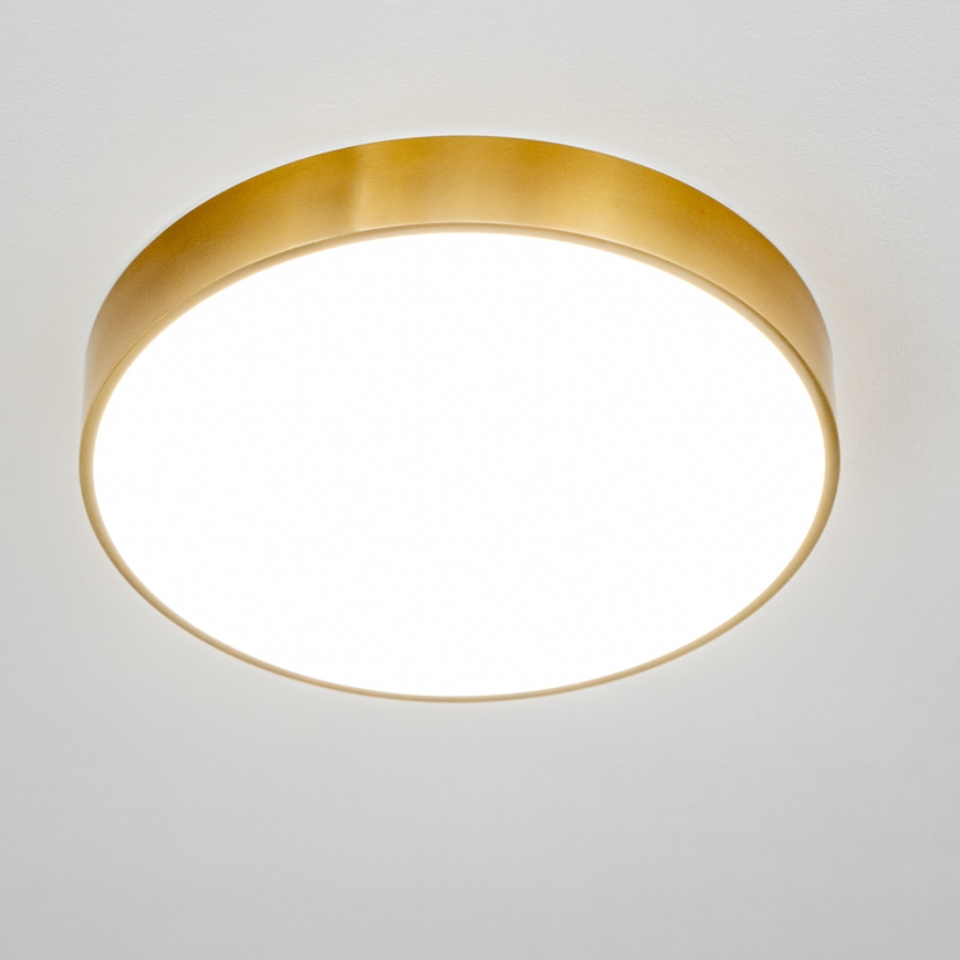 Brilagi - Plafonieră LED pentru baie POOL LED/36W/230V 3000/4000/5500K Ø 40 cm IP54 bronz