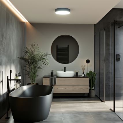 Brilagi - Plafonieră LED pentru baie POOL, 24 W, 230 V, 3000/4000/5500 K, diametru 30 cm, IP54, neagră