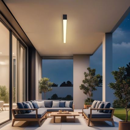 Brilagi - Plafonieră LED pentru baie SLEEKLINE LED/40W/230V 3000/4500/6000K neagră IP44