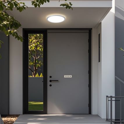 Brilagi - Plafonieră LED pentru baie ULTRA SLIM LED/12W/230V Ø 22,5 cm argintie IP54