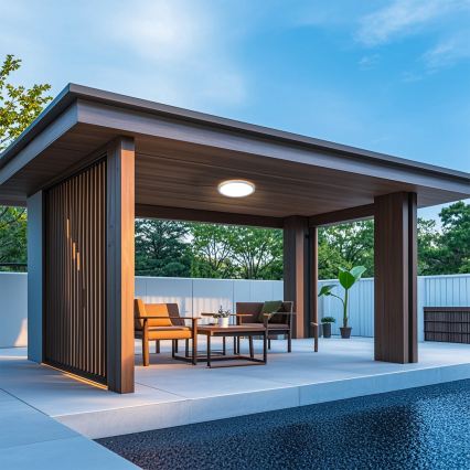 Brilagi - Plafonieră LED pentru baie ULTRA SLIM LED/12W/230V Ø 22,5 cm argintie IP54