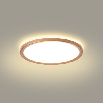 Brilagi - Plafonieră LED pentru baie ULTRA SLIM, 18 W, 230 V, Ø 30 cm, aur roz, IP54
