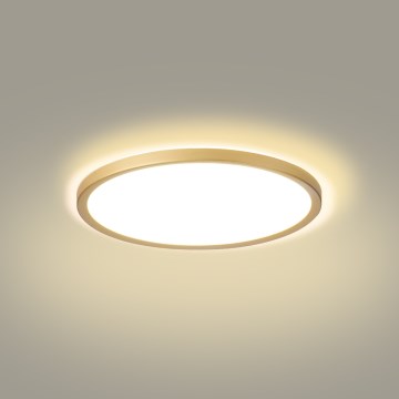 Brilagi - Plafonieră LED pentru baie ULTRA SLIM, 18W, 230V, Ø 30 cm, auriu, IP54