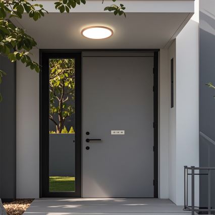 Brilagi - Lampă LED de tavan pentru baie ULTRA SLIM LED/12W/230V Ø22,5 cm aur roz IP54